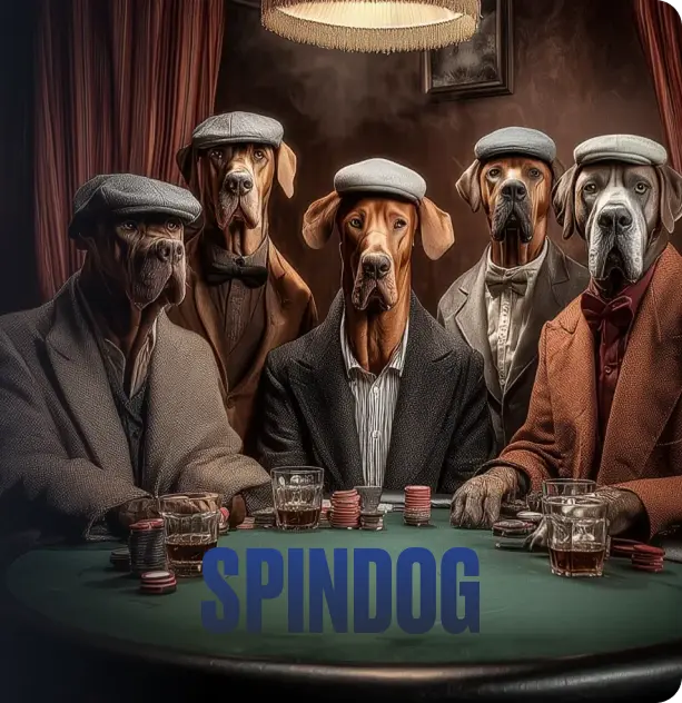 Spin Dog VIP